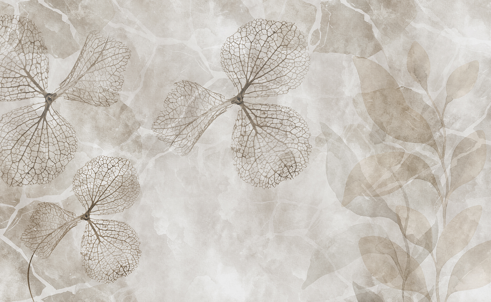 Grafica per carta da parati artistica modello Gaia di Contempora Wall Art. Un disegno botanico astratto ed etereo caratterizzato da macro-fiori e foglie con delicate venature in trasparenza, sovrapposti a uno sfondo materico nei toni caldi del beige, del tortora e dell'argilla cruda con texture effetto intonaco vissuto.